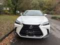 Lexus NX 200t NX II 2022 450h+ 2.5 phev Luxury 4wd e-cvt Bianco - thumbnail 4