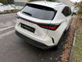 Lexus NX 200t NX II 2022 450h+ 2.5 phev Luxury 4wd e-cvt Bianco - thumbnail 6
