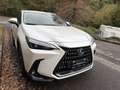Lexus NX 200t NX II 2022 450h+ 2.5 phev Luxury 4wd e-cvt Bianco - thumbnail 3