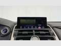 Lexus NX 300 300h Business 2WD Plateado - thumbnail 37
