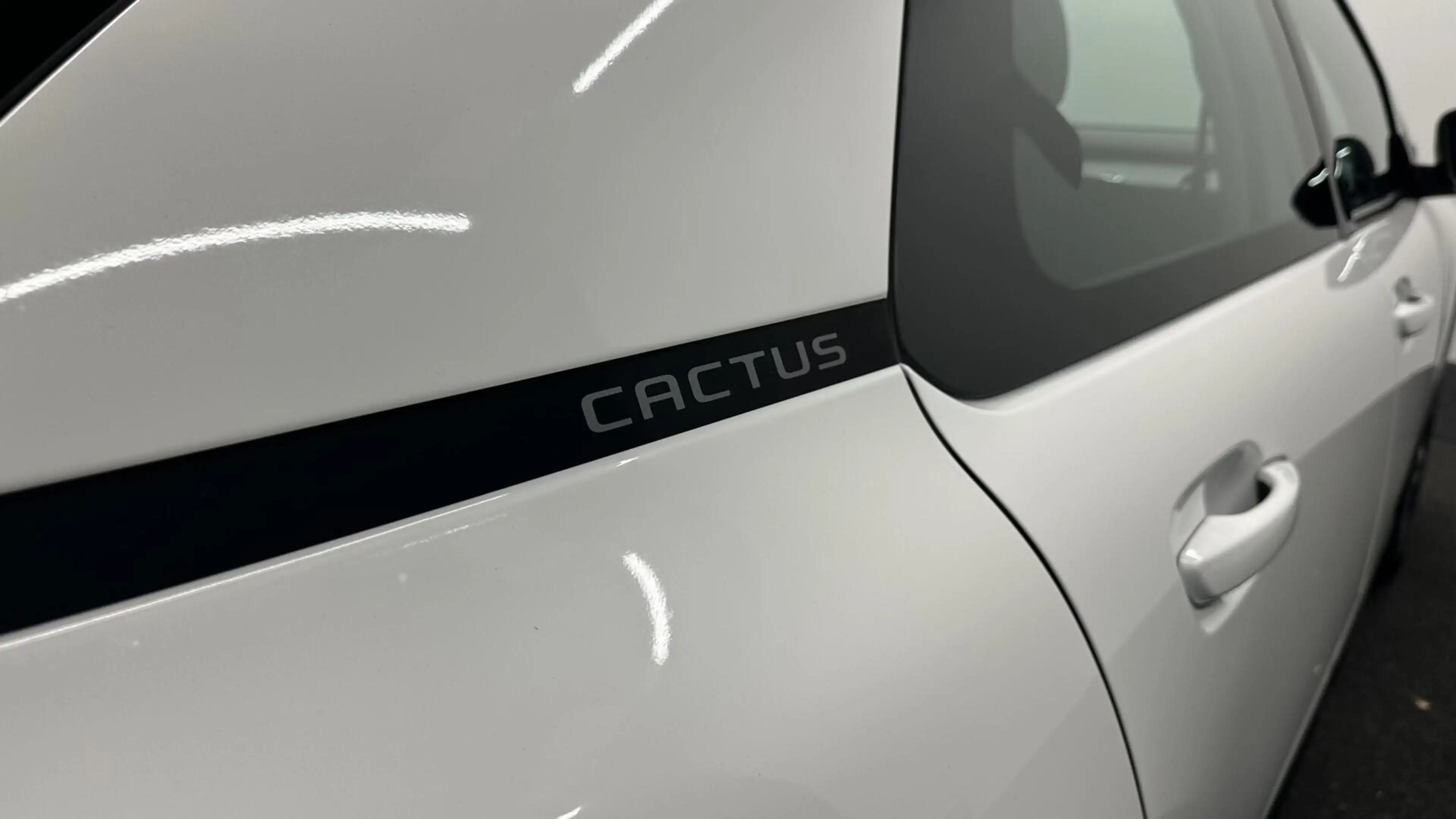 Citroen C4 Cactus 1.2 PureTech Feel CARPLAY CRUISE NAVIGATIE ECC. — photo 13