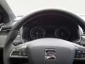 SEAT Ibiza 1.0 TSI Xcellence NAVI*LED*PDC*KAMERA*SHZ*SOUND... Gris - thumbnail 13