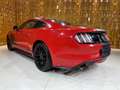 Ford Mustang Fastback 2.3 ecoboost 317cv Automatica full-option Rood - thumbnail 5