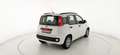 Fiat Panda 1.3 MJT S&S Pop - OK NEOPATENTATI Beyaz - thumbnail 7