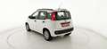 Fiat Panda 1.3 MJT S&S Pop - OK NEOPATENTATI Blanc - thumbnail 5