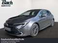 Toyota Corolla 2.0-l-Hybrid 5-Türer Team Deutschland Grau - thumbnail 1