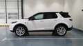 Land Rover Discovery Sport 2.0D TD4 MHEV SE AWD Auto 163 Wit - thumbnail 4