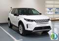 Land Rover Discovery Sport 2.0D TD4 MHEV SE AWD Auto 163 Wit - thumbnail 1