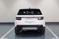 Land Rover Discovery Sport 2.0D TD4 MHEV SE AWD Auto 163 Weiß - thumbnail 7