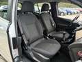 Ford B-Max 1.0 EcoB. Titanium '' zeer mooi '' Grijs - thumbnail 11