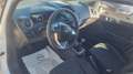 Ford Fiesta 1.5 TDCi 75CV 5 porte Titanium Bianco - thumbnail 15