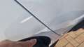 Ford Fiesta 1.5 TDCi 75CV 5 porte Titanium Bianco - thumbnail 24