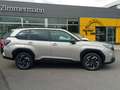 Subaru Forester 2.0ie Exclusive SHZ Navi Золотистый - thumbnail 5