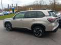 Subaru Forester 2.0ie Exclusive SHZ Navi Золотистый - thumbnail 3