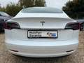 Tesla Model 3 Panorama*360Kamera*Leder Weiß - thumbnail 5