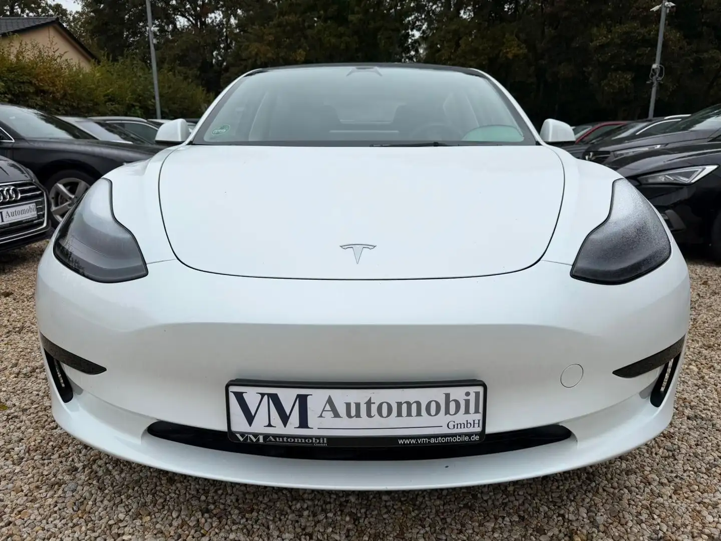 Tesla Model 3 Panorama*360Kamera*Leder Weiß - 2