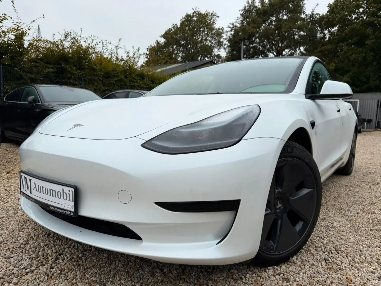 Tesla Model 3 Panorama*360Kamera*Leder Weiß - 1