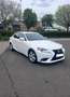 Lexus IS 300 300h Business Line White - thumbnail 3