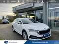 Skoda Octavia Combi 2.0 TDI Style DSG NAVI ACC Weiß - thumbnail 1