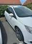Ford Focus Focus Traveller Van Trend 1,0 EcoBoost Trend Weiß - thumbnail 3