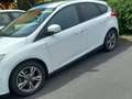 Ford Focus Focus Traveller Van Trend 1,0 EcoBoost Trend Weiß - thumbnail 2