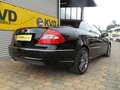 Mercedes-Benz CLK 200 Cabrio   Sport Edition AMG Styling Schwarz - thumbnail 7