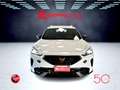 CUPRA Formentor 2.0 TDI 4x4 DSG 150 Cv Km 15.000 Pronta Consegna Blanc - thumbnail 3