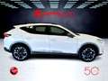 CUPRA Formentor 2.0 TDI 4x4 DSG 150 Cv Km 15.000 Pronta Consegna Blanc - thumbnail 7