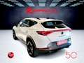 CUPRA Formentor 2.0 TDI 4x4 DSG 150 Cv Km 15.000 Pronta Consegna Blanc - thumbnail 10