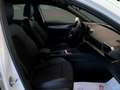 CUPRA Formentor 2.0 TDI 4x4 DSG 150 Cv Km 15.000 Pronta Consegna Blanc - thumbnail 19