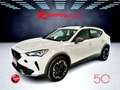 CUPRA Formentor 2.0 TDI 4x4 DSG 150 Cv Km 15.000 Pronta Consegna Blanc - thumbnail 13