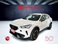 CUPRA Formentor 2.0 TDI 4x4 DSG 150 Cv Km 15.000 Pronta Consegna Blanc - thumbnail 2