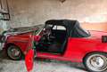 Fiat 1500 Typ 118H Rot - thumbnail 3