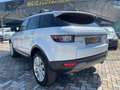 Land Rover Range Rover Evoque 2.0 Sd4 240 CVFINANZIABILE Blanco - thumbnail 5