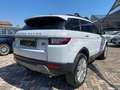 Land Rover Range Rover Evoque 2.0 Sd4 240 CVFINANZIABILE Blanco - thumbnail 3