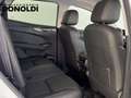 Sportequipe Sportequipe 8 1.6 T-GDI DCT Weiß - thumbnail 19
