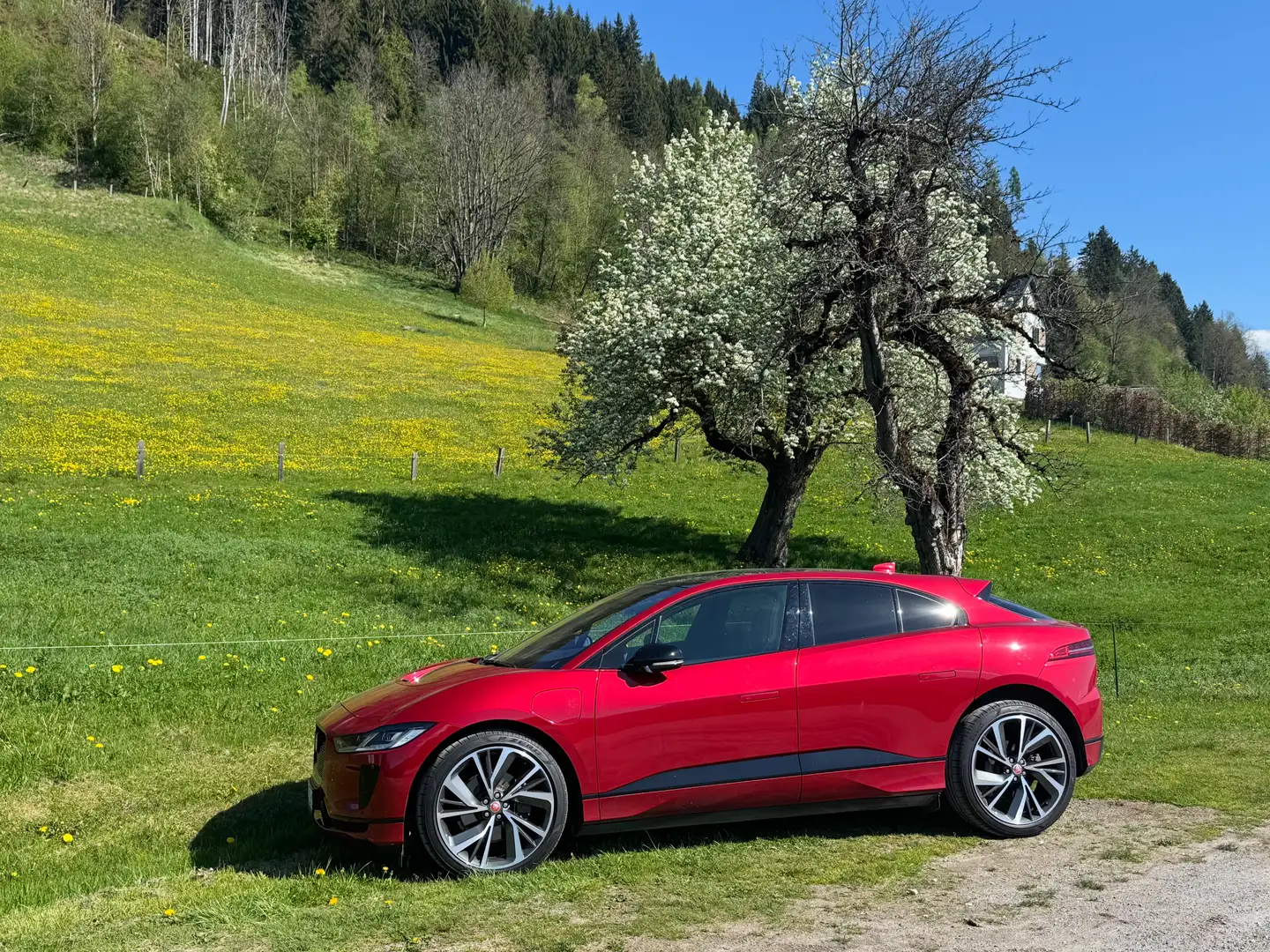 Jaguar I-Pace I-Pace Austria Edition EV320 AWD Austria Edition Rojo - 1