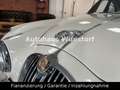Jaguar MK II 3.8 ltr. -Zylinder6 OVERDRIVE Blanco - thumbnail 15