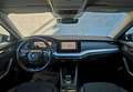 Skoda Octavia Ambition/AHK/ KAMERA/ Schwarz - thumbnail 9