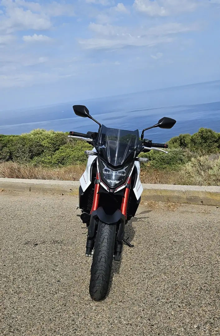 Honda Hornet Blanco - 2