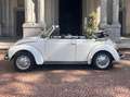 Volkswagen Beetle Cabrio bianco Bianco - thumbnail 5