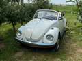 Volkswagen Beetle Cabrio bianco Bianco - thumbnail 4