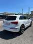 Audi Q5 Q5 2.0 TDI 150 CV clean diesel Blanc - thumbnail 4