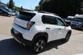 Fiat Grande Panda Hybrid mHEV 110 6-Gang eDCT La Prima Weiß - thumbnail 21