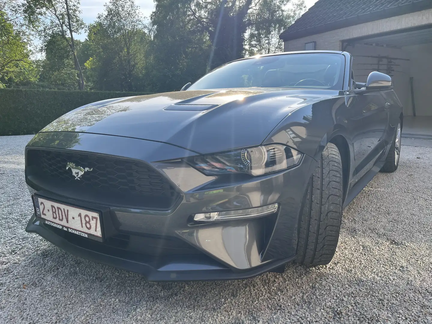 Ford Mustang 2.3 ESSENCE ECO BOOST - 2