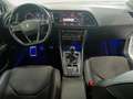 SEAT Leon FR Plus Blanco - thumbnail 7