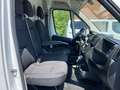 Peugeot Boxer L2H2 BlueHDi 140 Kamera CarPlay 20xverfügb Blanco - thumbnail 11