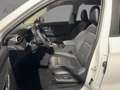 MG ZS Hybrid+ Luxury *Standheizung*Sofortverfügbar* Weiß - thumbnail 4