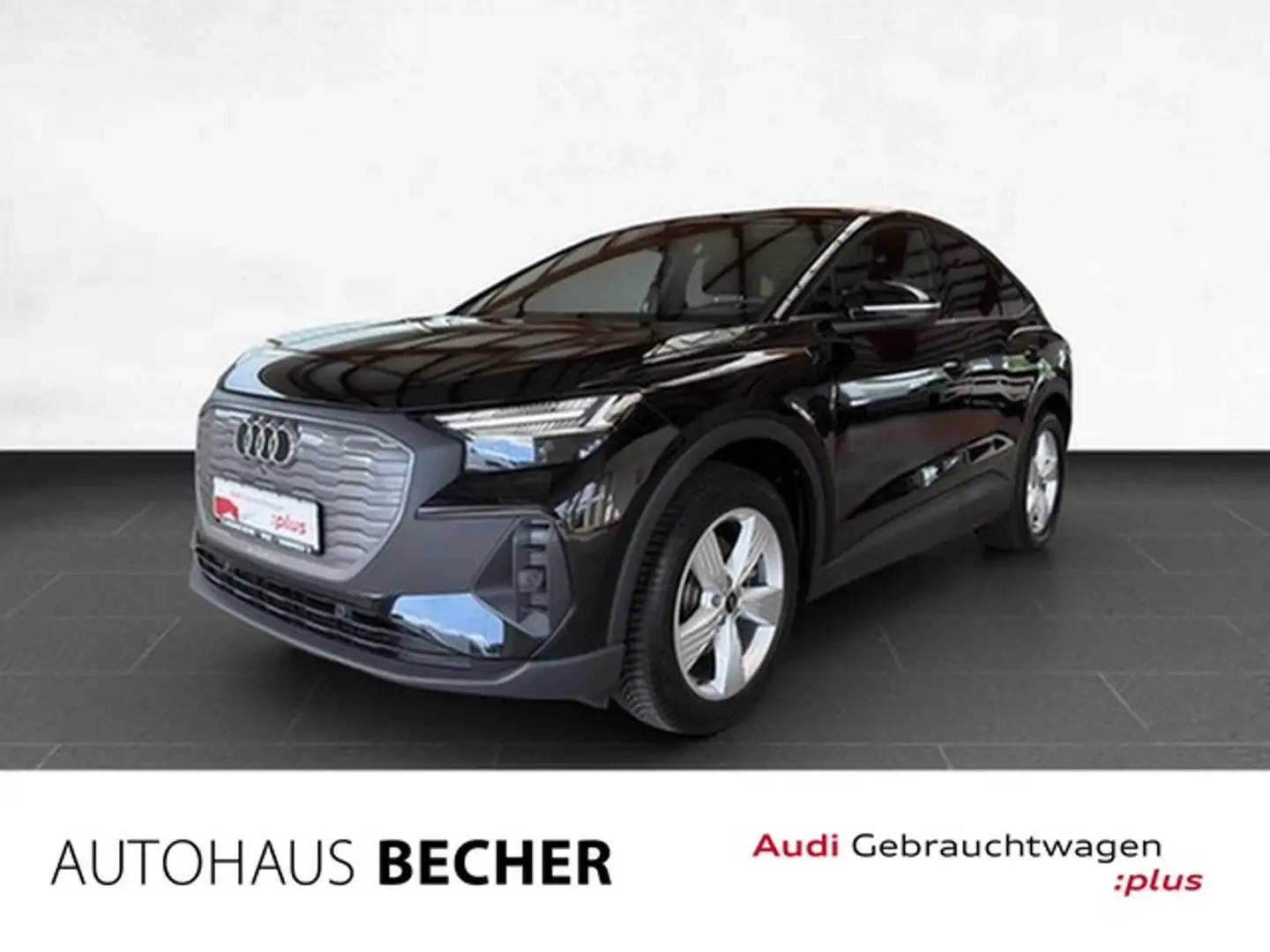 Audi e-tron /Rückfahrk/Matrix/Sitzhz Schwarz - 1