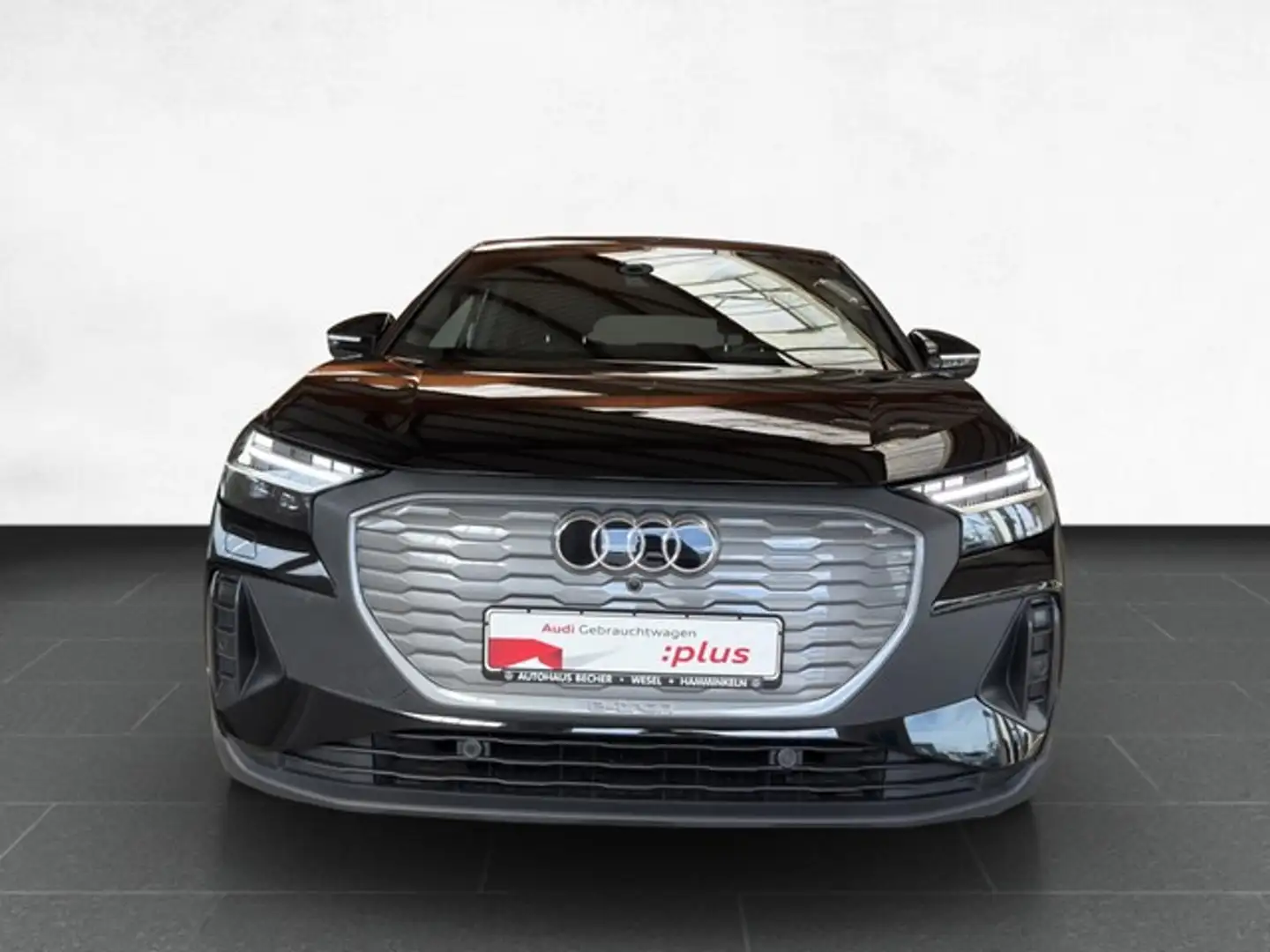 Audi e-tron /Rückfahrk/Matrix/Sitzhz Schwarz - 2